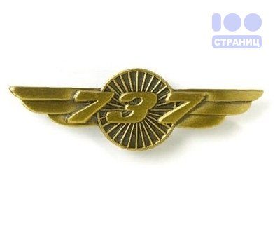 Значок Boeing 737 gold